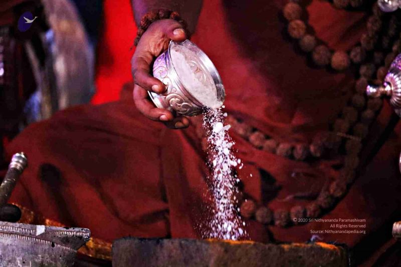 File:20180303 Photo 518 1ViEDXB0m7qUoLFxW5aqeL3CYTgsLd3aZ.jpg