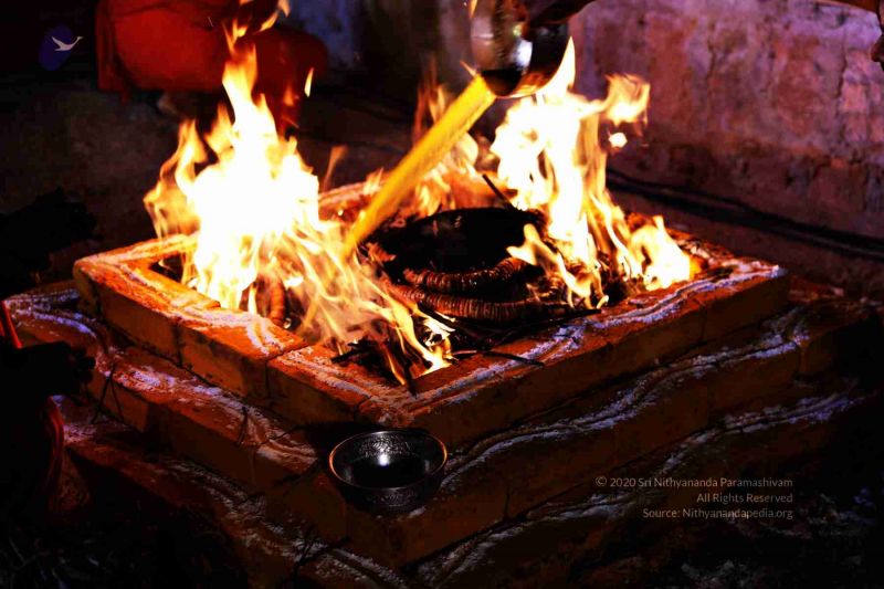 File:20180303 Photo 806 1NHdMkGGOY8FmxLozoxvCmuC4c6P50Tui.jpg