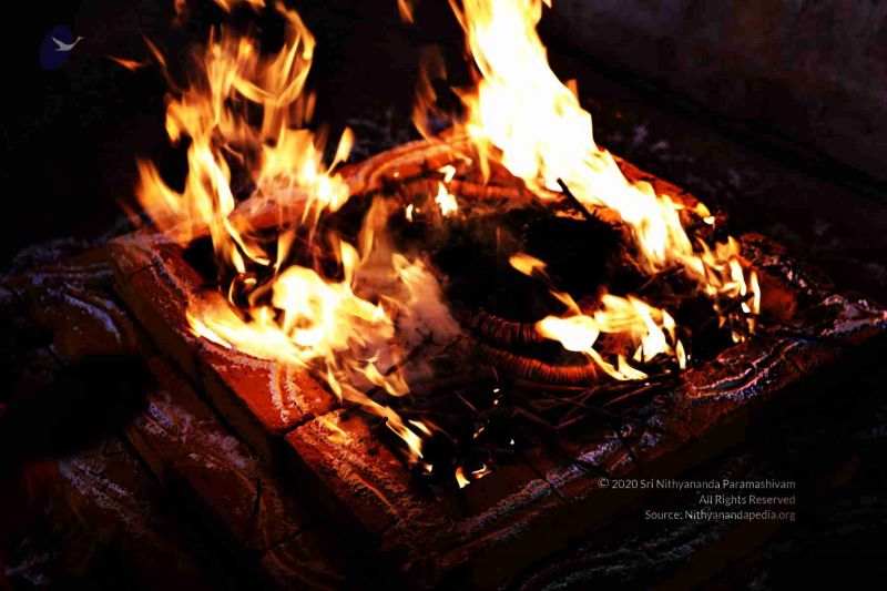 File:20180303 Photo 808 1oegcwMLY cUcDl7http83SMiGzF7eYvX.jpg