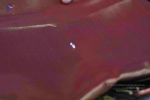 20180312 Photo 1003 1MTd3fwDerOeJK8DwlybWZe0Pr9MuoMHB.JPG