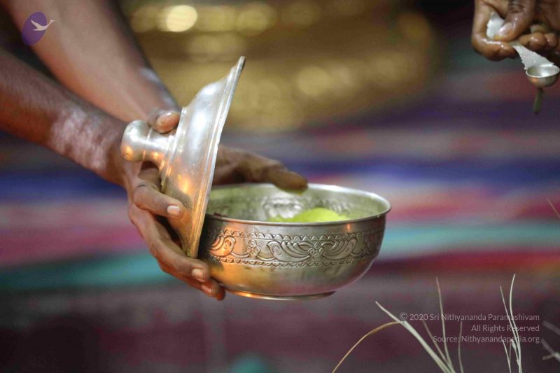 File:20180312 Photo 1035 11E1G13DPb- t0LKq2zY9p6-G0OI29wSW.JPG