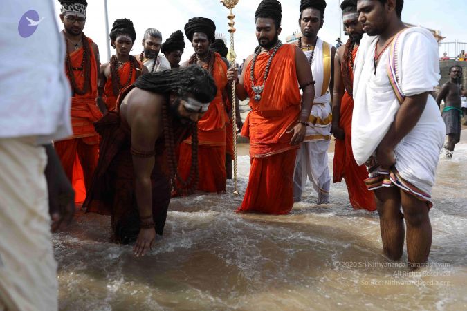 20180317 Photo 1075 1X14FuP1-5r945IDaWt9st 2Wat9p 03X.JPG