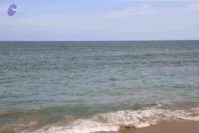 20180317 Photo 1106 1gQlc3MMscqGD8EzvKwXw tBjsYGl wnm.JPG