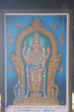 20180317 Photo 1249 1lCP0m8TsTzd-Rfq6mZG3oSFZ0oZYkUoq.JPG