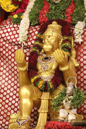 20180325 Photo 558 1bhUvcOEtv5kZITsXxu4wTB9qSljU91KX.jpg