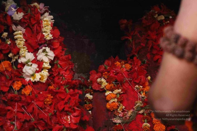 20180328 Photo 1232 1a8O4uuEwWr0o0VpII0gyH7taYlFX7M3a.JPG