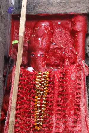 20180328 Photo 235 1zGUKP0AEHzJ 330agCgvY7MtKdNoYKot.jpg