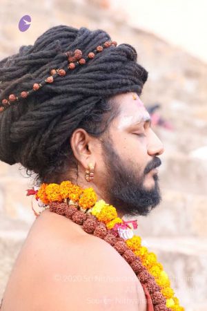 20180328 Photo 253 1C3SrThyYNz0D7W5BoLhGVvqf9Uqlhd1Z.jpg