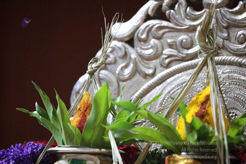 File:20180403 Photo 369 1hRju9cwvqD6IIT4ha7XnY1EETZFDfYOV.jpg