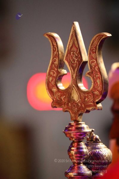 File:20180403 Photo 494 1dIpEy3g1vWsv4lRbeK5lplmL r83GI8x.jpg