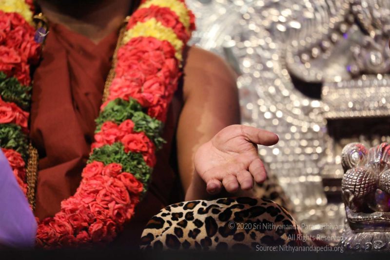 File:20180403 Photo 543 11qZsCJ TZEJA fKG9dgJ9lvRehGFAxcZ.jpg