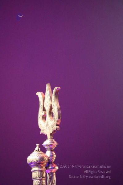 File:20180403 Photo 634 1CWHkiNCfzvS6Qg sr2YUSs3KIHEx0ut-.jpg