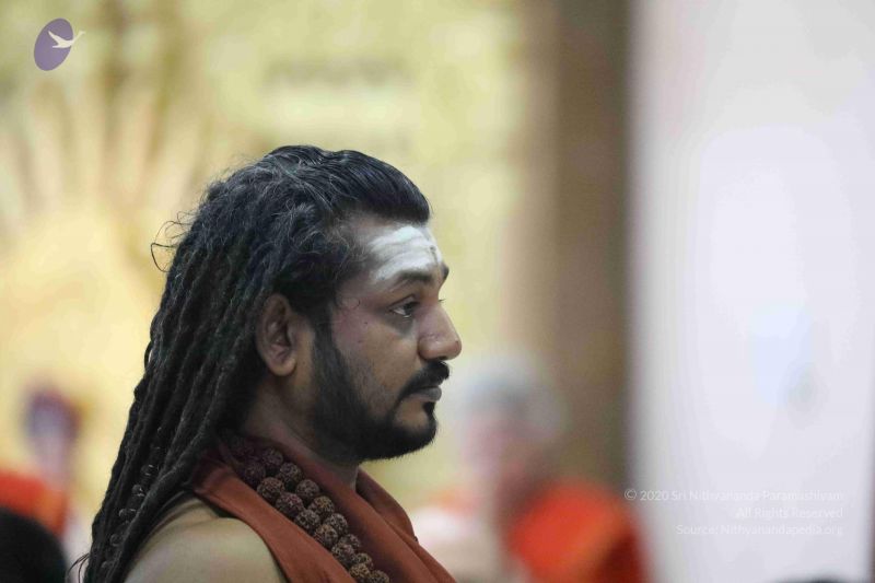 File:20180413 Photo 1120 1Nd53-IAkbLkm5P8a1JN3kT7w8wGaBpwt.JPG