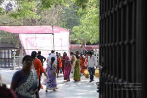 20180413 Photo 1129 1v7AtYYKRzeqwMpQS0T4zDj0u 8kQqGr3.JPG