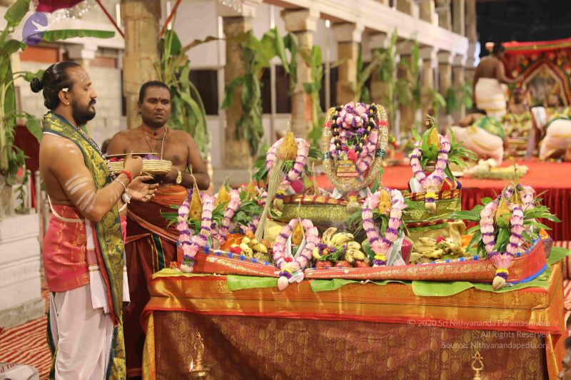 File:20180413 Photo 1139 1ji8paK4Y9uN5wCKJ-36vkzXgBbk PRkg.JPG