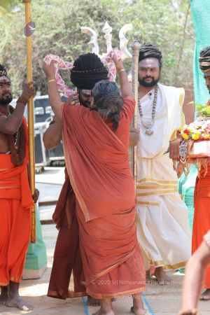 20180414 Photo 1186 1FNv88IJzunkcIksdr6ndf77TkYuRvlwb.jpg