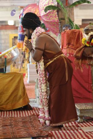 20180414 Photo 1197 1xEcHq4bCAo9TolvpZ JNvoIpPor6ykse.jpg