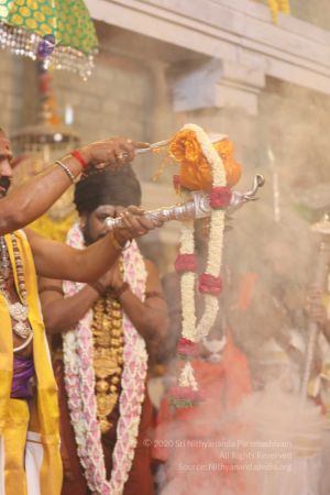 20180414 Photo 1284 10A8GXcK8fagpG4Py cRurV1KA0pL2y4J.jpg