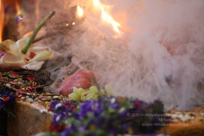 20180414 Photo 1291 1-BEPn6XqqX6Y-lNOfvKwX9Bxx7 pwRDY.jpg