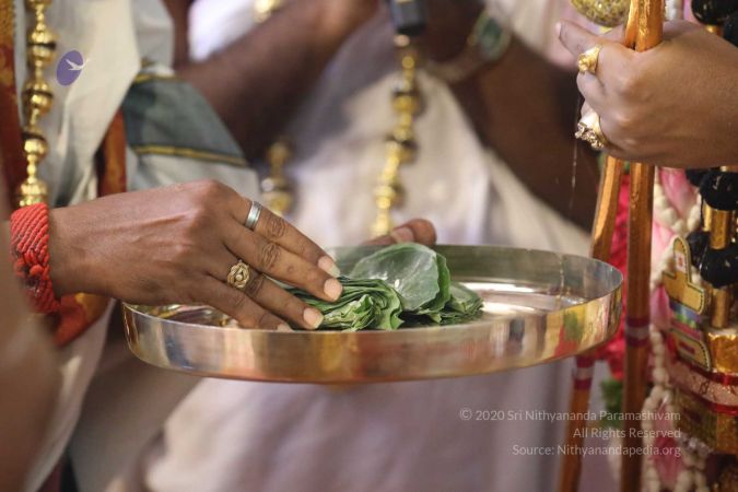 20180414 Photo 1342 1KBfSwxQWcBi8GEUqsnF-bYIlLkq2DpRb.jpg