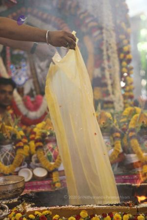 20180414 Photo 1370 1 U3yX-mZbjpZ8MNK8jOsGed8WQrgSmXL.jpg