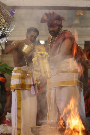 20180414 Photo 1377 1kPdjIA14l41a9CZqv0WNeF8IdULdLRSD.jpg