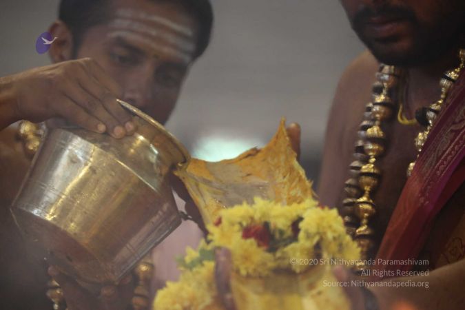 20180414 Photo 1378 134dEjhuiElf68httwJ34MXY1HPpqHjUA.jpg