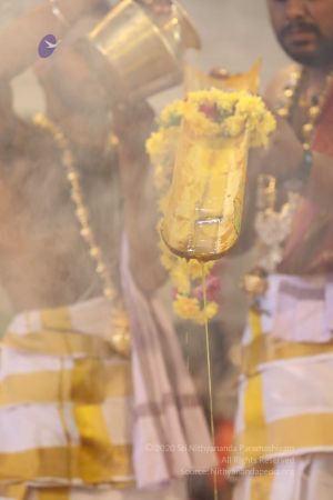 20180414 Photo 1389 1qxyOycSv9MtGwjiBdFMOyxsJL8MKSeTC.jpg