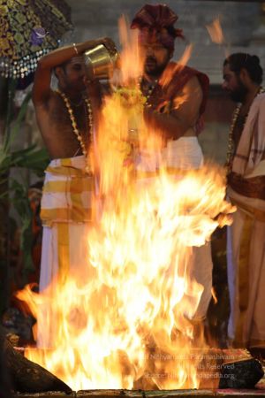 20180414 Photo 1396 1rmkh6KeWOq-gNVMRQ0B4LY2m9WSmbOAF.jpg