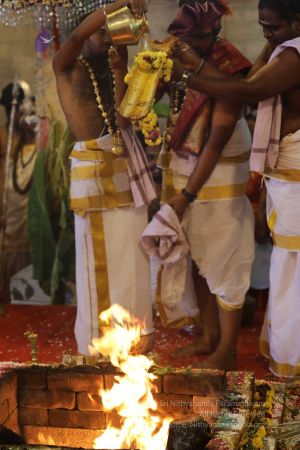 20180414 Photo 1397 1v5HFdH-pBlgCQgEUvxJwidv0zxPZDXvF.jpg