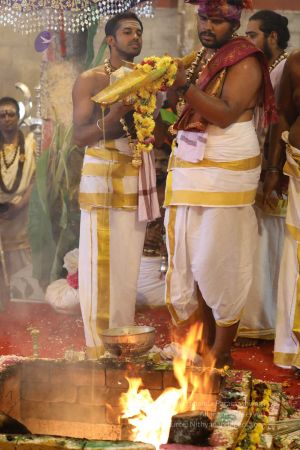 20180414 Photo 1411 1xREdwGAKi4WteegM2j- 2Tyd-LOpyIcJ.jpg