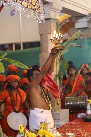 20180414 Photo 1504 1aXZY1UqEpPLTldZSWGUQtYYksaewgNhP.jpg