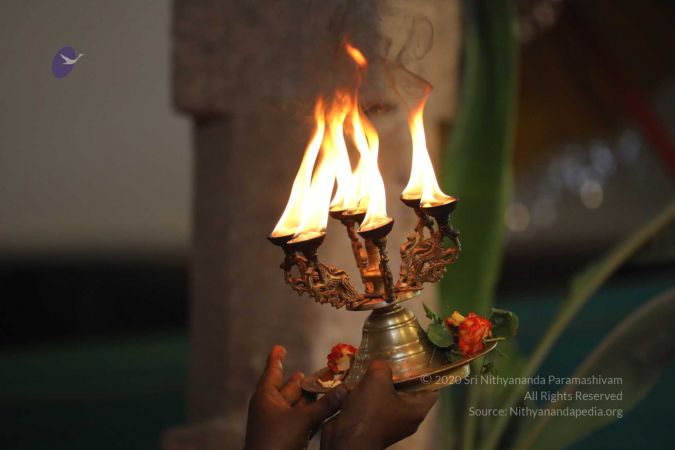 20180414 Photo 1511 1F03QOaVrxgvIVtkjALz4c36qdptPy5zN.jpg