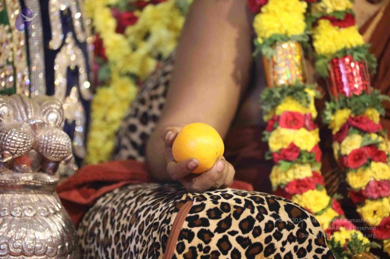 File:20180414 Photo 1512 19ZeWeBXf3TiiK5nVRndB rPay48D 5he.JPG