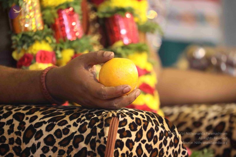 File:20180414 Photo 1513 19BHAL-oKRIk9P9u29ANH Osp4-nIT-Mg.JPG