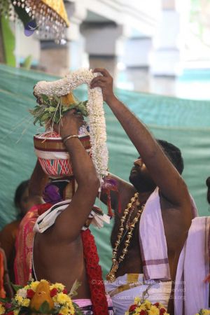 20180414 Photo 1526 1cjN-rVNKCVC1A-aQZJmYc4cPvwCWNJYC.jpg