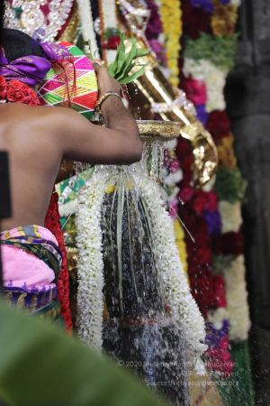 20180414 Photo 1550 1LJCYgn9nA3Y55aZfnluP6mdztTUY36Ir.jpg