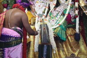 20180414 Photo 1560 1PuEjaB57klokYKv-qunKKBMoZ8J7mxx2.jpg