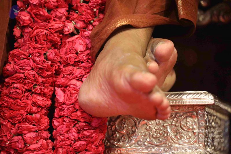 File:20180414 Photo 1566 1ce9RNdrX143T4F856R8Z2ZqegMxQydvD.JPG