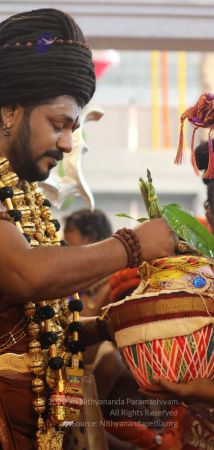 20180414 Photo 1585 1Gav97t7jm-hwEUz2yi-iqhQ7lMfekOnY.jpg