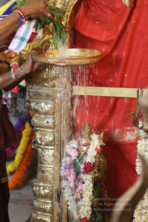 20180414 Photo 1627 1dtUD8Xc8uWsyfNy4g3ii ZjYqPum--P2.jpg