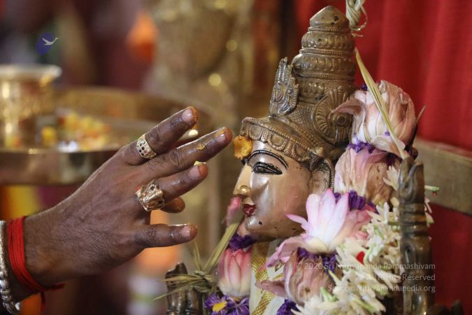 20180414 Photo 1632 1VHn654LsHXe0FpRnf82MKE8XEK34O2BU.jpg