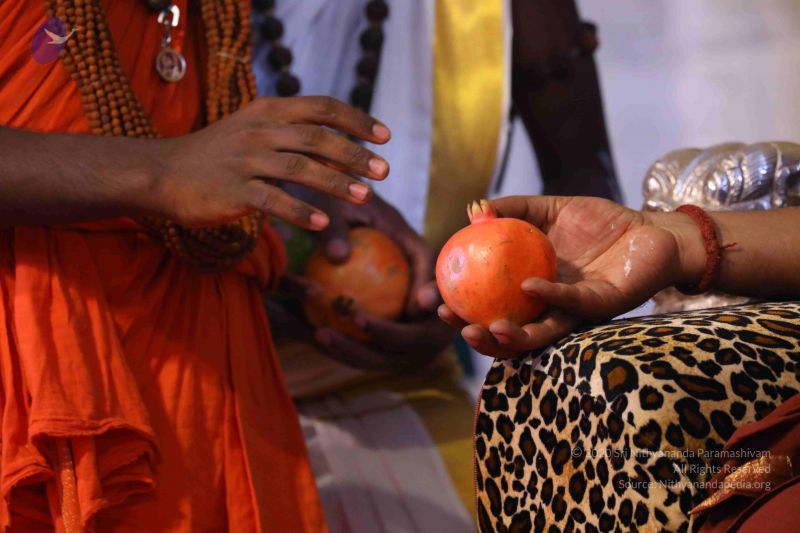 File:20180414 Photo 1642 1bIv0Q8m4TlfE3d yfsEYU6DZrOL6SisA.JPG