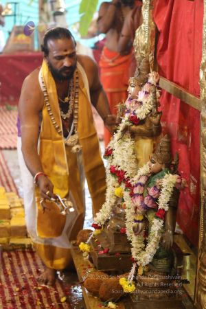 20180414 Photo 1643 1RzNcC1DDUAr oEr4MPS2q6F3fQayFBzB.jpg