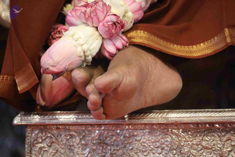 File:20180414 Photo 1675 1ONoC-AXUBKKv04QQ2rWoX nVR0JaHZH9.JPG