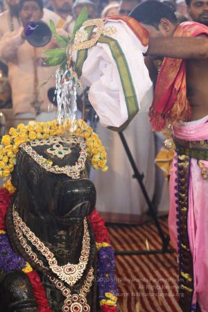 20180414 Photo 1684 1FeA69npc7YNwQD 9uzp6-Arv3fF2HpCz.jpg