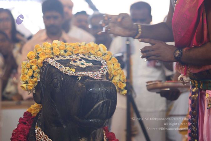 20180414 Photo 1688 1FegsMDMiU2K1n48NT80yBP7V0wE7NcXI.jpg