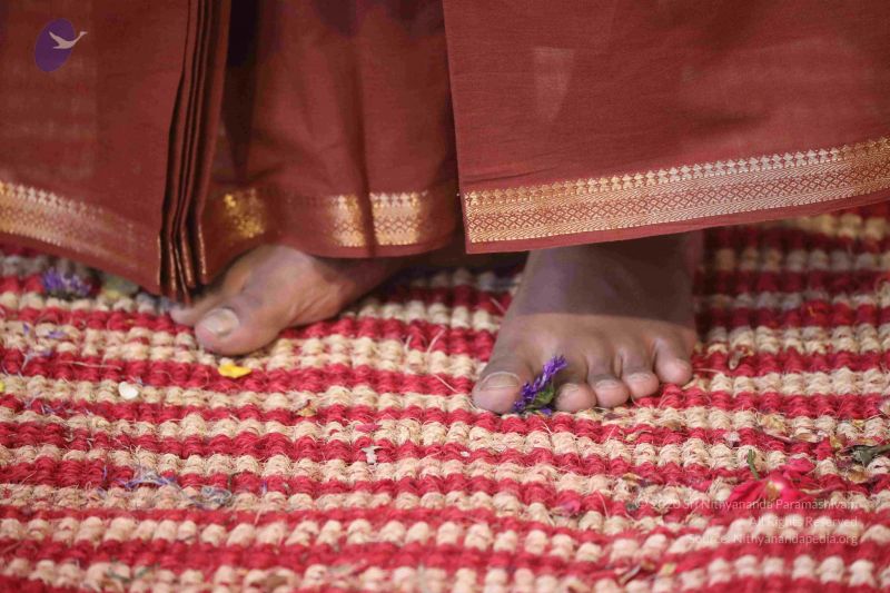 File:20180414 Photo 1688 1JhOQAc18VAk8CH9EGMxkj7ZBLf4B8hqh.JPG