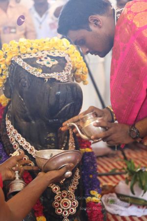 20180414 Photo 1691 1 jA1Ly8nFXdTPVi7fRvYTQn0ZADyPOSo.jpg