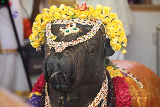 20180414 Photo 1695 12zMLHG8yg3hp0UnmFR57ao xe0ytLviD.jpg